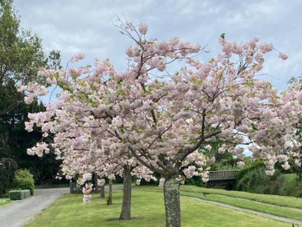 Amuri Villas 克莱夫 外观 照片